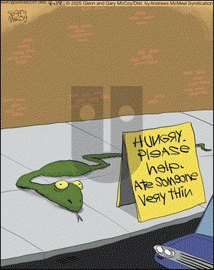 The Flying McCoys on Saturday April 19, 2025 Comic Strip