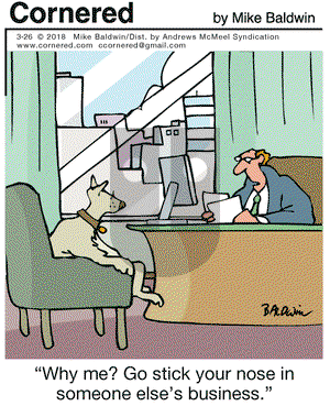 Cornered on Monday March 26, 2018 Comic Strip