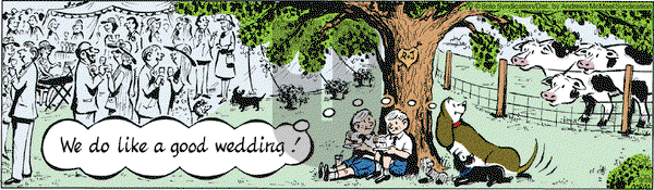 Fred Basset on Saturday September 28, 2019 Comic Strip