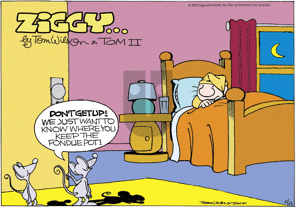 Ziggy - Sunday August 21, 2005 Comic Strip