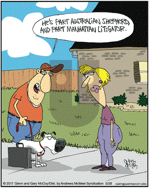 The Flying McCoys on Monday May 29, 2017 Comic Strip