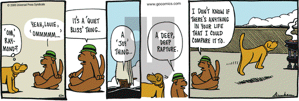 Overboard on Thursday June 19, 2008 Comic Strip