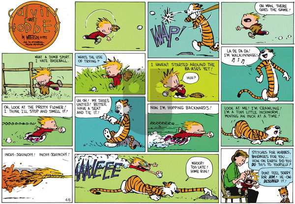 Calvin and Hobbes on Sunday May 23, 1993 Comic Strip
