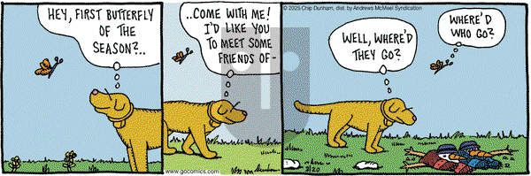 Overboard on Thursday March 20, 2025 Comic Strip