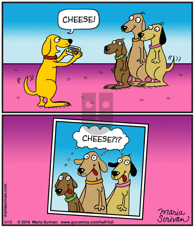 Half Full - Monday September 16, 2024 Comic Strip