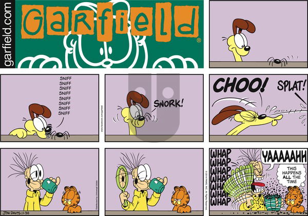 Garfield - Sunday November 30, 2014 Comic Strip