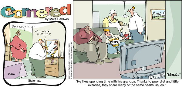 Cornered on Sunday January 5, 2014 Comic Strip