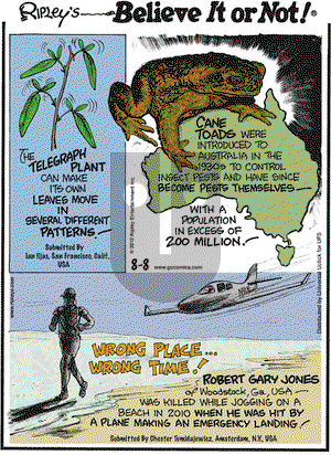 Ripley's Believe It or Not on Wednesday August 8, 2012 Comic Strip
