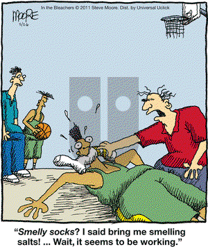 In the Bleachers on Saturday February 26, 2011 Comic Strip