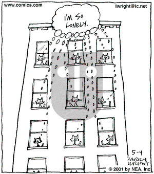 Kit 'N' Carlyle on Friday May 4, 2001 Comic Strip