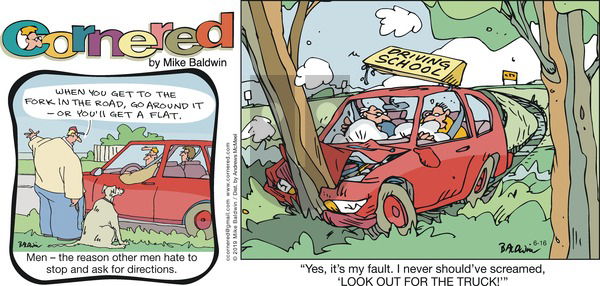 Cornered on Sunday June 16, 2019 Comic Strip