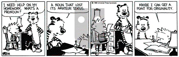 Calvin and Hobbes on Monday July 1, 1991 Comic Strip