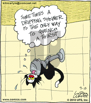 Kit 'N' Carlyle on Monday September 13, 2010 Comic Strip