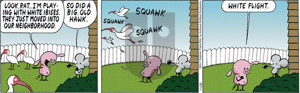 Pearls Before Swine on Tuesday November 28, 2017 Comic Strip