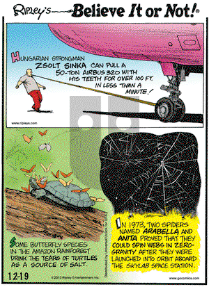 Ripley's Believe It or Not on Thursday December 19, 2013 Comic Strip
