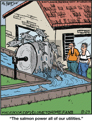 Close to Home on Thursday August 29, 2013 Comic Strip