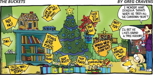 The Buckets on Sunday December 23, 2012 Comic Strip