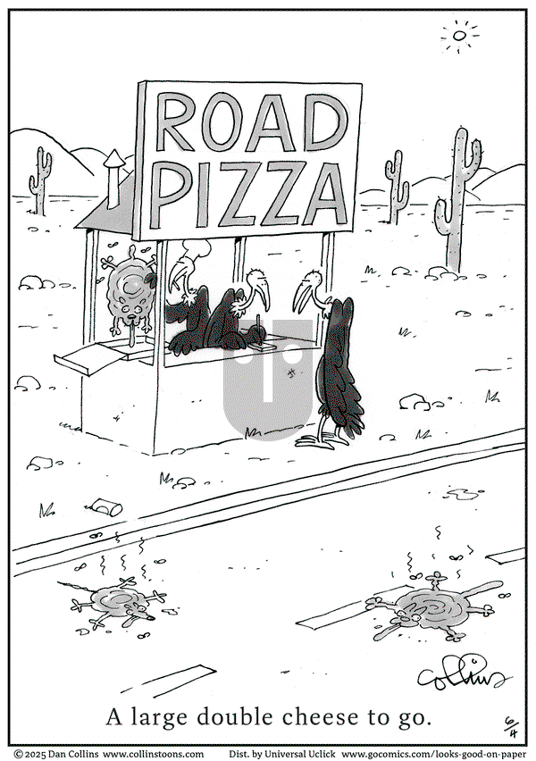 Looks Good on Paper on Wednesday June 4, 2025 Comic Strip