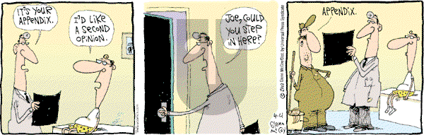 The Duplex on Tuesday May 27, 2003 Comic Strip