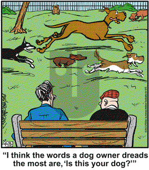 Marmaduke on Tuesday April 26, 2022 Comic Strip