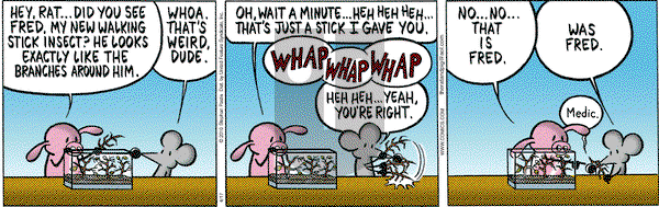 Pearls Before Swine - Saturday April 17, 2010 Comic Strip