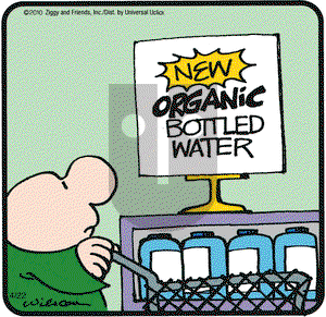 Ziggy - Thursday April 22, 2010 Comic Strip