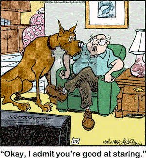 Marmaduke on Tuesday July 31, 2018 Comic Strip