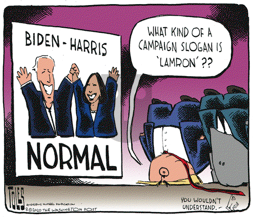 Tom Toles on Friday August 14, 2020 Comic Strip