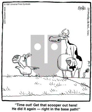 In the Bleachers on Thursday June 26, 1997 Comic Strip