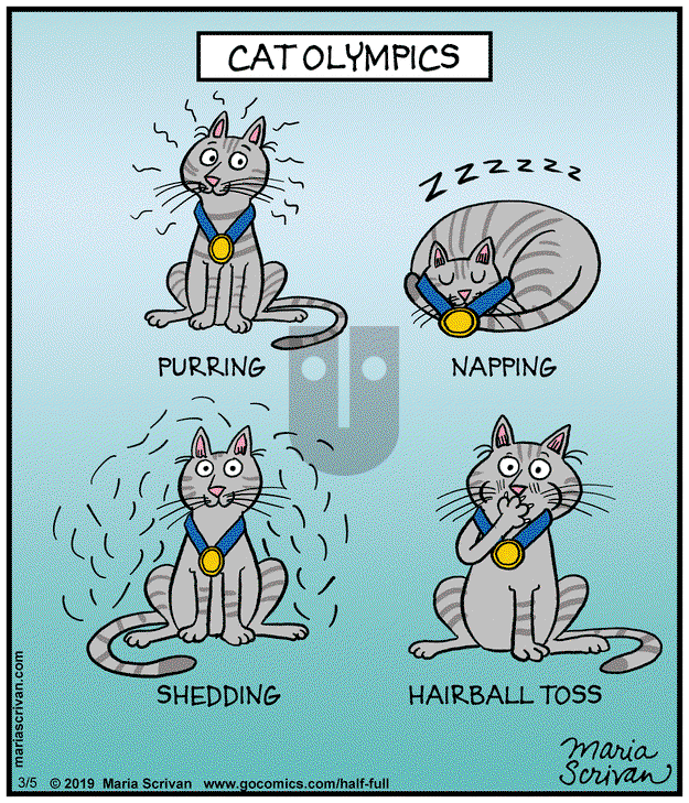 Half Full on Wednesday March 5, 2025 Comic Strip