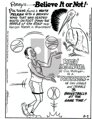 Ripley's Believe It or Not on Saturday February 1, 2003 Comic Strip