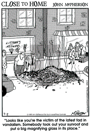 Close to Home on Tuesday July 2, 1996 Comic Strip