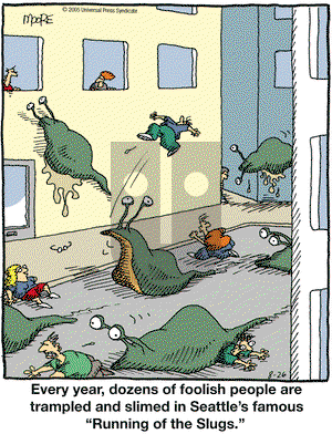 In the Bleachers on Friday August 26, 2005 Comic Strip