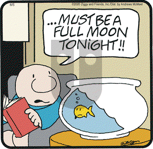 Ziggy on Wednesday August 5, 2020 Comic Strip