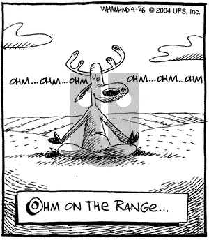 Reality Check on Monday October 25, 2004 Comic Strip