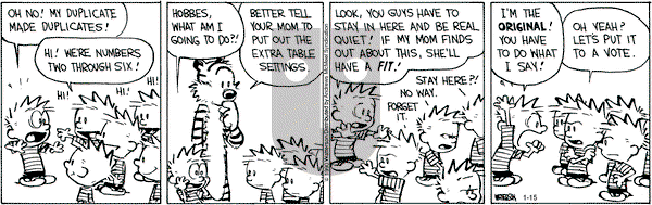 Calvin and Hobbes - Wednesday January 15, 2020 Comic Strip