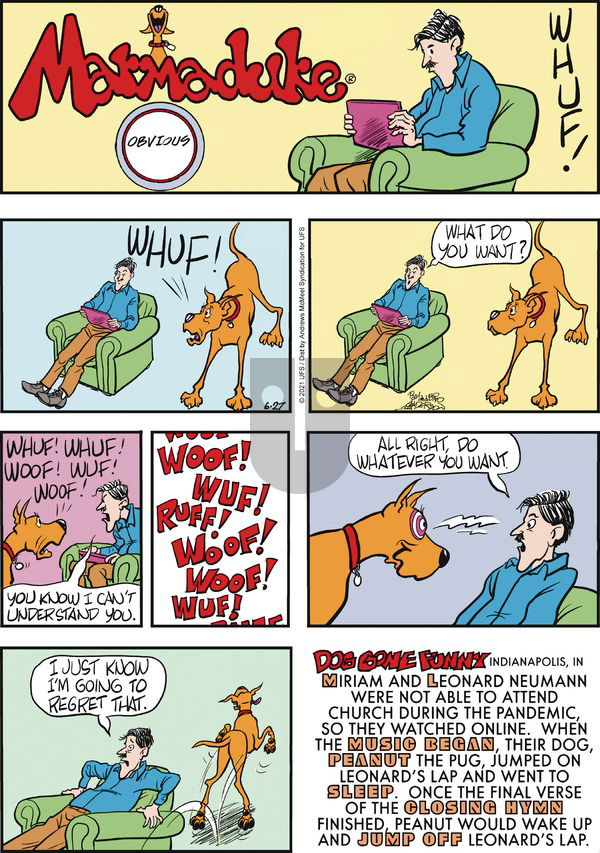 Marmaduke on Sunday June 27, 2021 Comic Strip