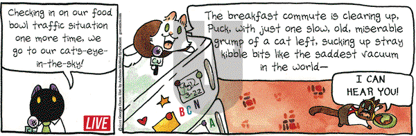 Breaking Cat News on Friday March 22, 2019 Comic Strip