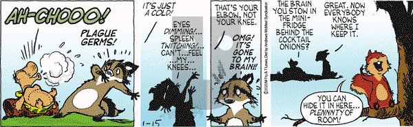 Over the Hedge on Wednesday January 15, 2020 Comic Strip