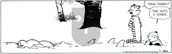 Calvin and Hobbes on Saturday January 21, 1995 Comic Strip