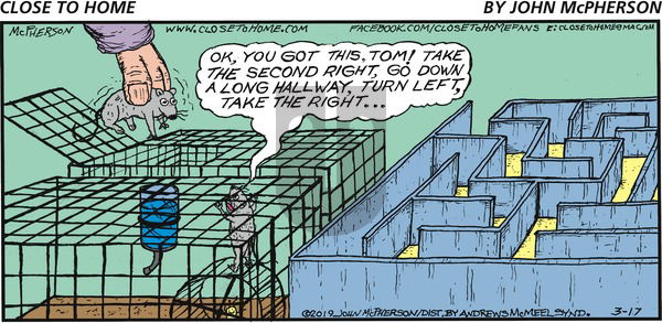 Close to Home on Sunday March 17, 2019 Comic Strip