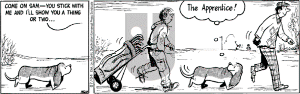 Fred Basset on Wednesday July 4, 2007 Comic Strip