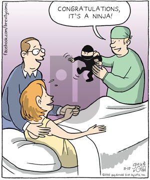 Brevity on Wednesday November 17, 2010 Comic Strip