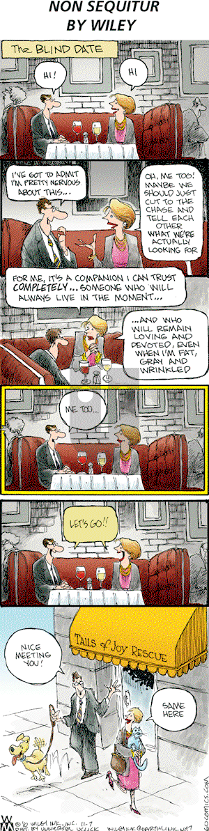 Non Sequitur on Sunday November 7, 2010 Comic Strip