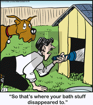 Marmaduke on Saturday June 1, 2019 Comic Strip