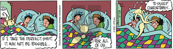 Rose is Rose on Thursday February 25, 2021 Comic Strip