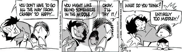 Rose is Rose on Wednesday June 13, 2001 Comic Strip