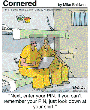 Cornered on Tuesday November 3, 2020 Comic Strip