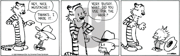 Calvin and Hobbes on Saturday October 9, 1993 Comic Strip