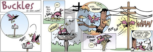 Buckles - Sunday October 13, 2024 Comic Strip